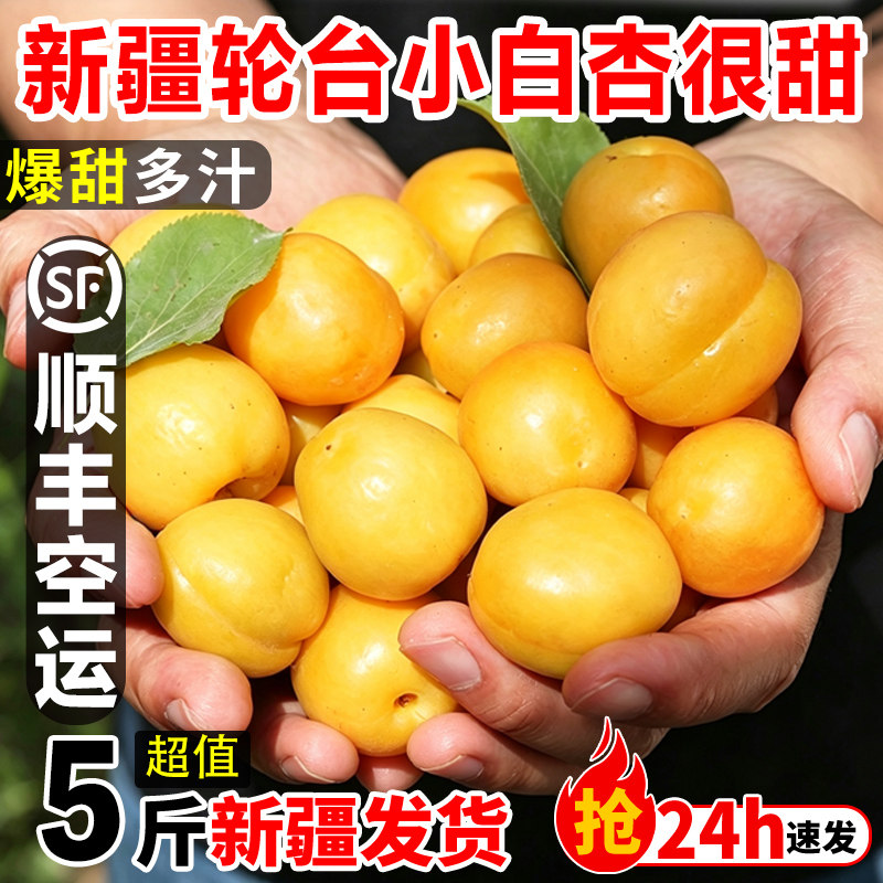 新疆小白杏轮台新鲜水果库车白杏子甜杏特产当季整箱胜小红杏顺丰