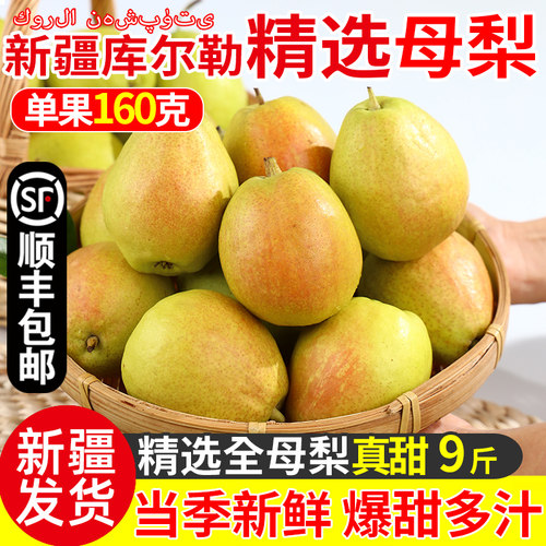 正宗新疆库尔勒香梨全母梨脆甜