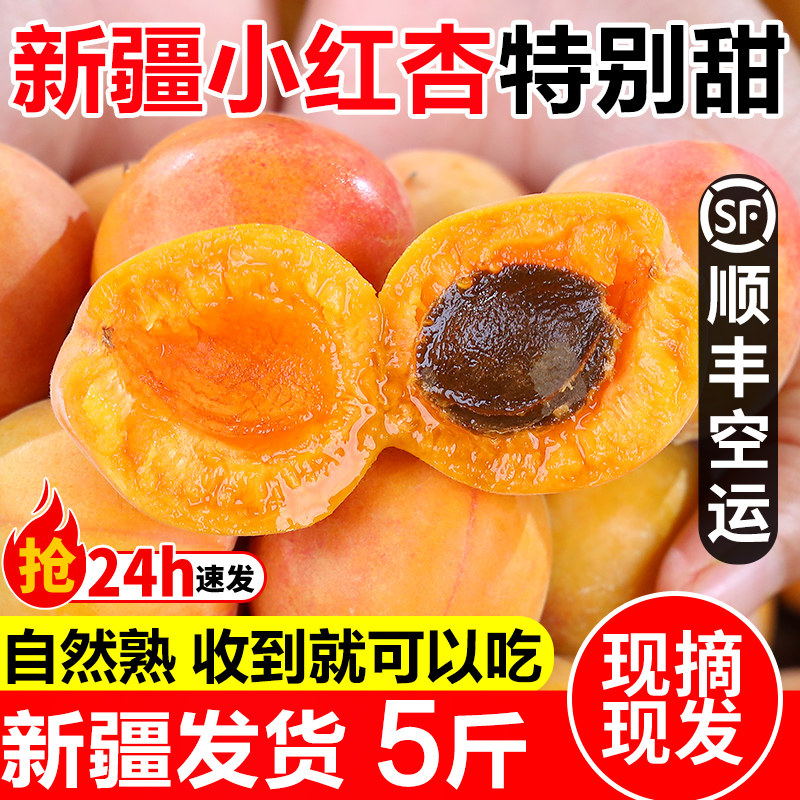 新疆小红杏新鲜5斤顺丰包邮