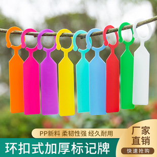 园艺标签牌环扣塑料防水苗木葡萄果树授粉标记品种藤曼分类悬挂式