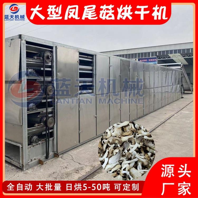 链条式凤尾菇烘干机 大型平菇秀珍菇脱水干燥机 菌菇类烘干生产线