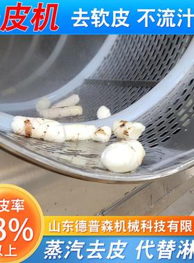西柿ZXR皮清洗去机 黄心猕猴子桃蒸红汽去皮机 杏快速脱皮机