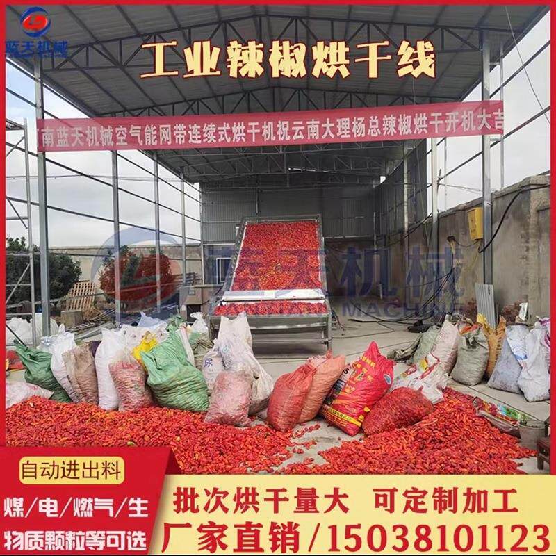 高辣度辣椒烘干机 全自动大型工业辣椒烘干设备 20吨干辣椒干燥机
