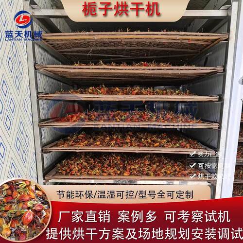 黄栀子烘干机 大型空气能山栀子烘干设备 烘栀子果白蟾中药材机器