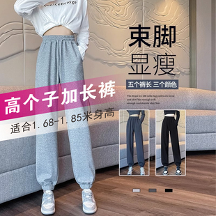 170加长运动裤女生夏季薄款175高个子超长版宽松休闲灰色束脚卫裤