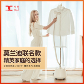 域桥挂烫机家用商用服装 店大功率大蒸汽蒸气熨斗手持熨斗全铜芯立