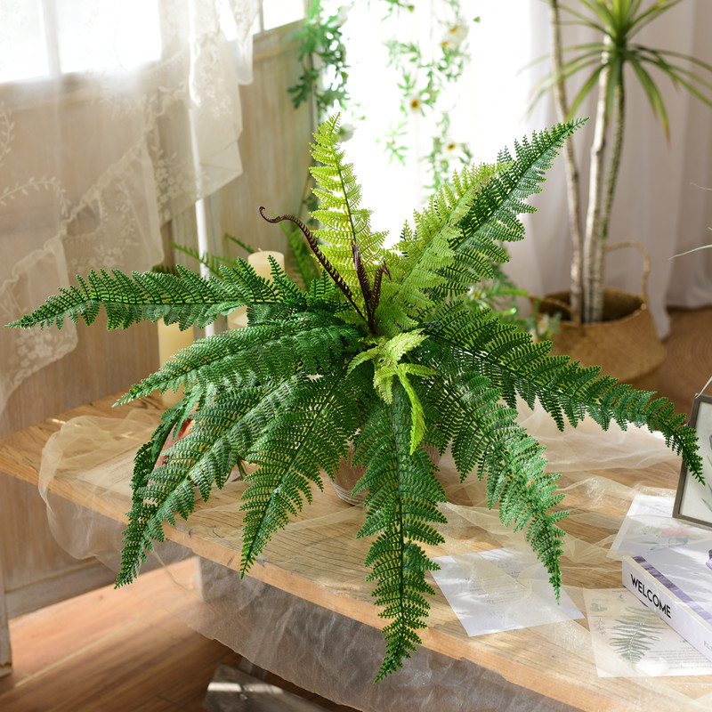 真蕨类叶子植物绿植墙婚庆装饰品真花草波斯草假树叶绿色造景