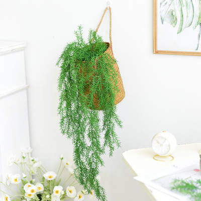真绿植藤条挂藤金钱叶垂挂蔓藤吊顶葡萄架装饰婚庆花藤管道遮挡