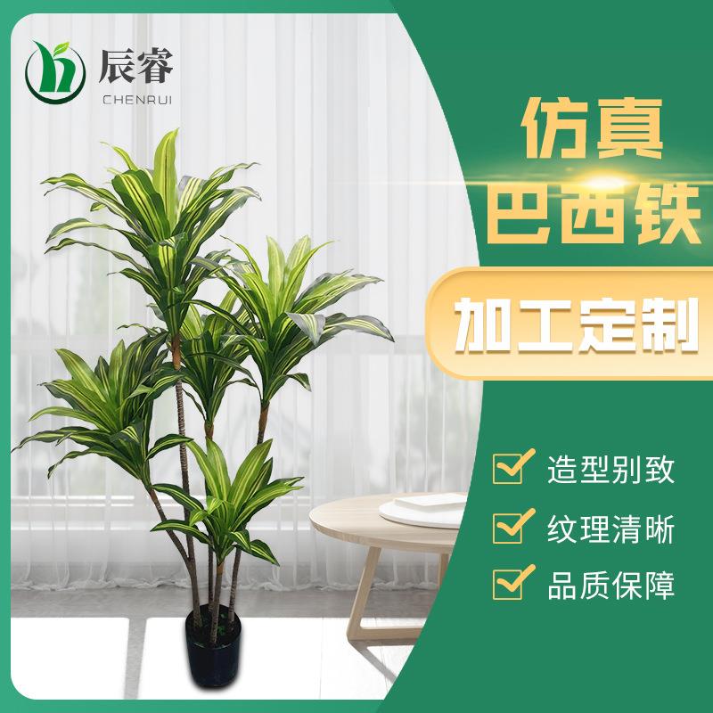 仿真植物巴西铁盆栽绿植装饰盆景Simulationgreenplant