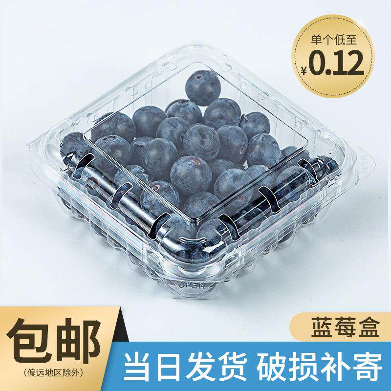 一次性水果盒子带盖透明塑料蓝莓盒125克包装盒一斤装水果包装盒