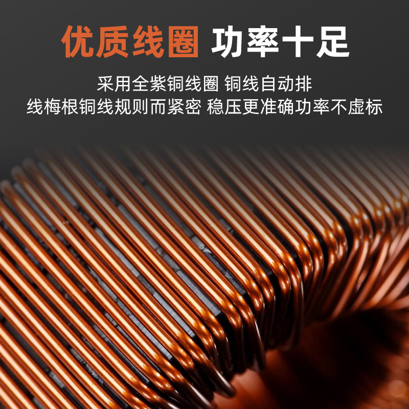 9P1E500W/1000W全自动稳压器