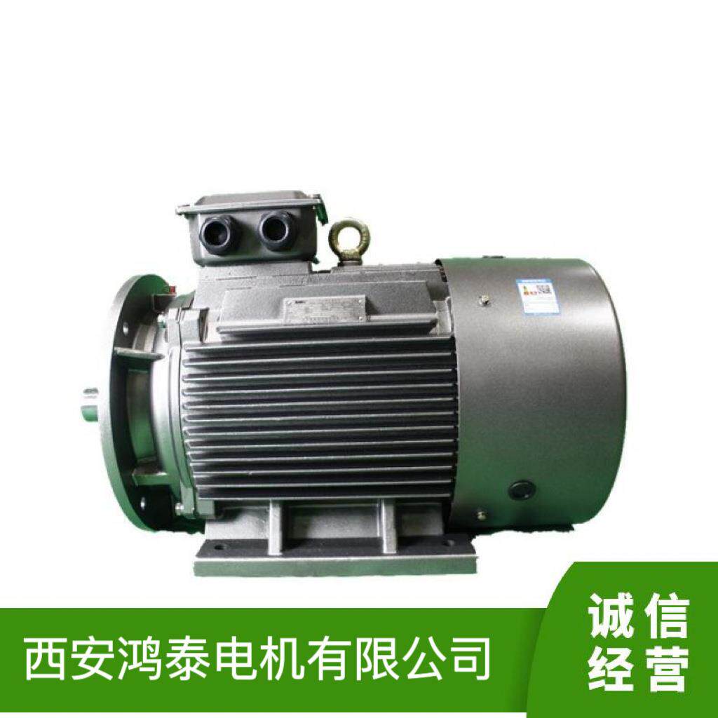 鸿泰永磁同步电机TYP5-132S-47.5KWt380V启动性能优良效率高