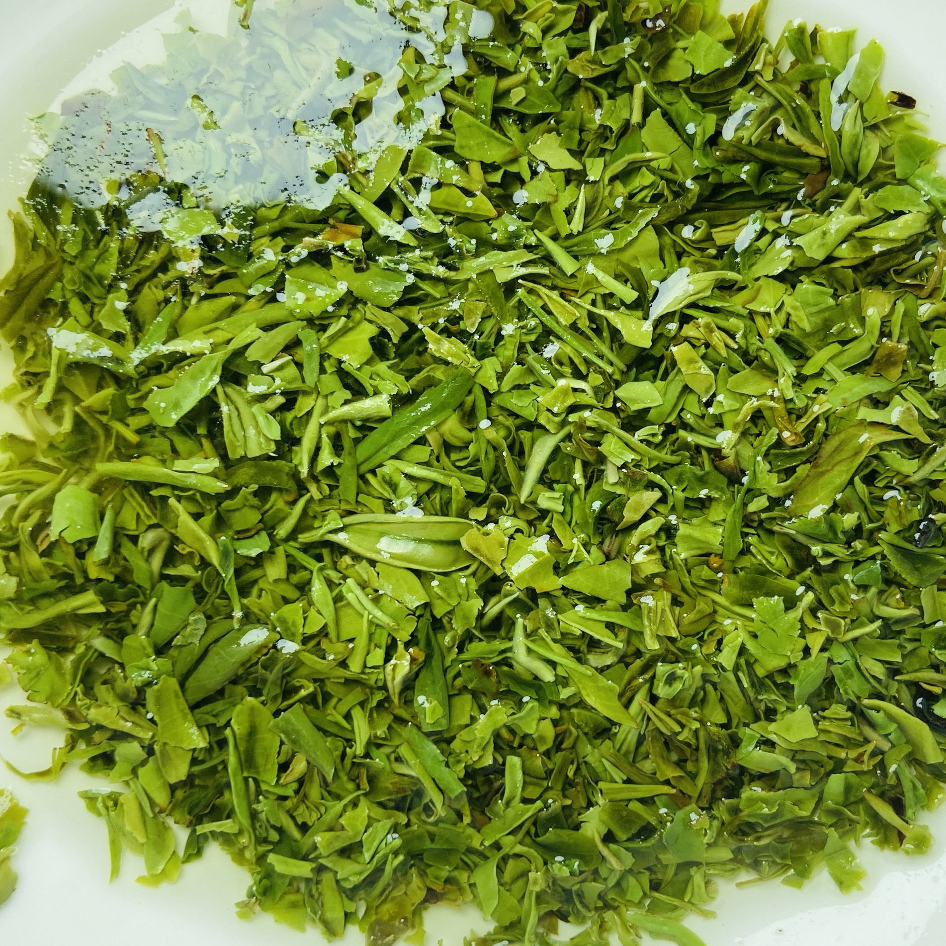 2026新茶叶信阳毛尖特级碎茶雨前高山嫩芽茶末散装浓香口粮茶500g