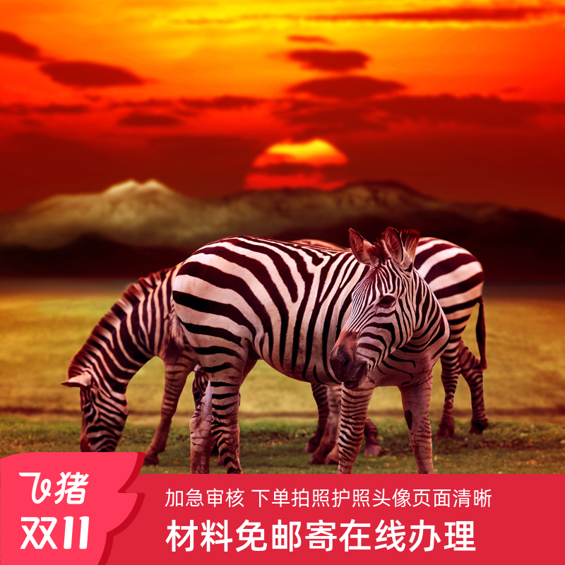 肯尼亚旅游签证全国送签