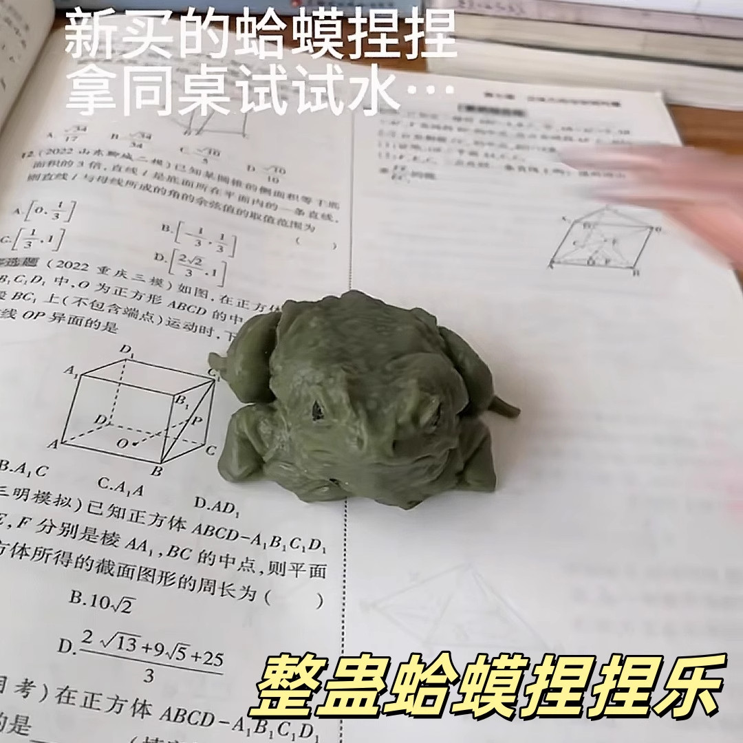 抖音同款癞蛤蟆捏捏乐自制手绘解压整蛊泄愤玩具仿真青蛙送人玩具 - 实物图