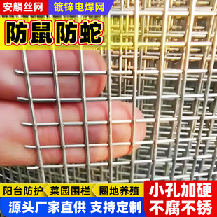 防锈镀锌钢丝网家禽围栏网园林围栏网水泥浇筑网阳台防护网钢丝网