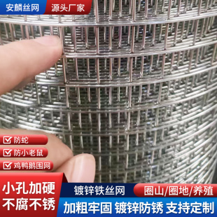钢丝镀锌网围栏小孔加粗养殖网专用整捆饲养家禽围栏网圈地护栏网