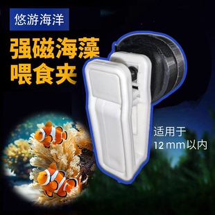 强磁吸力海藻喂食夹蔬菜夹紫菜喂食夹强磁力磁铁喂食夹海水鱼用品