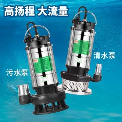 定制抽水泵家用小型220v直流深水泵井用潜水泵灌溉浇地水泵磅棒吸