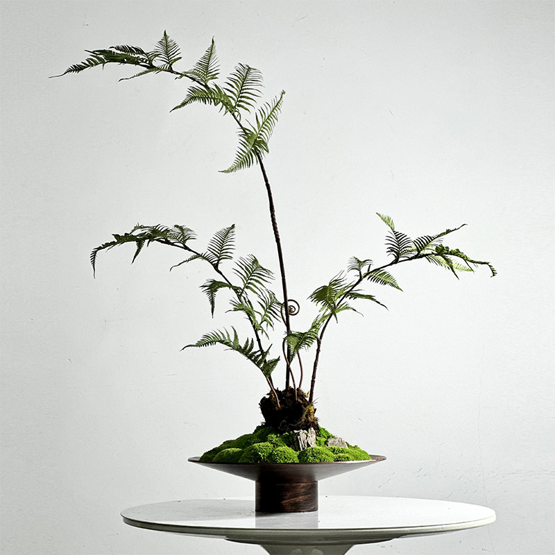 中式日式侘寂禅意永生苔藓狗毛蕨类绿植仿制铜器玄关茶几吧台摆件