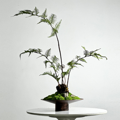 中式日式侘寂禅意永生苔藓狗毛蕨类绿植仿制铜器玄关茶几吧台摆件