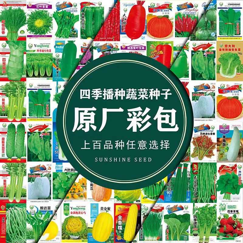 蔬菜种子阳台大棚菜籽黄瓜生菜西红柿草莓韭菜盆栽种子四季春秋种
