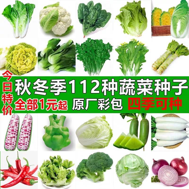 50款蔬菜种子四季易种