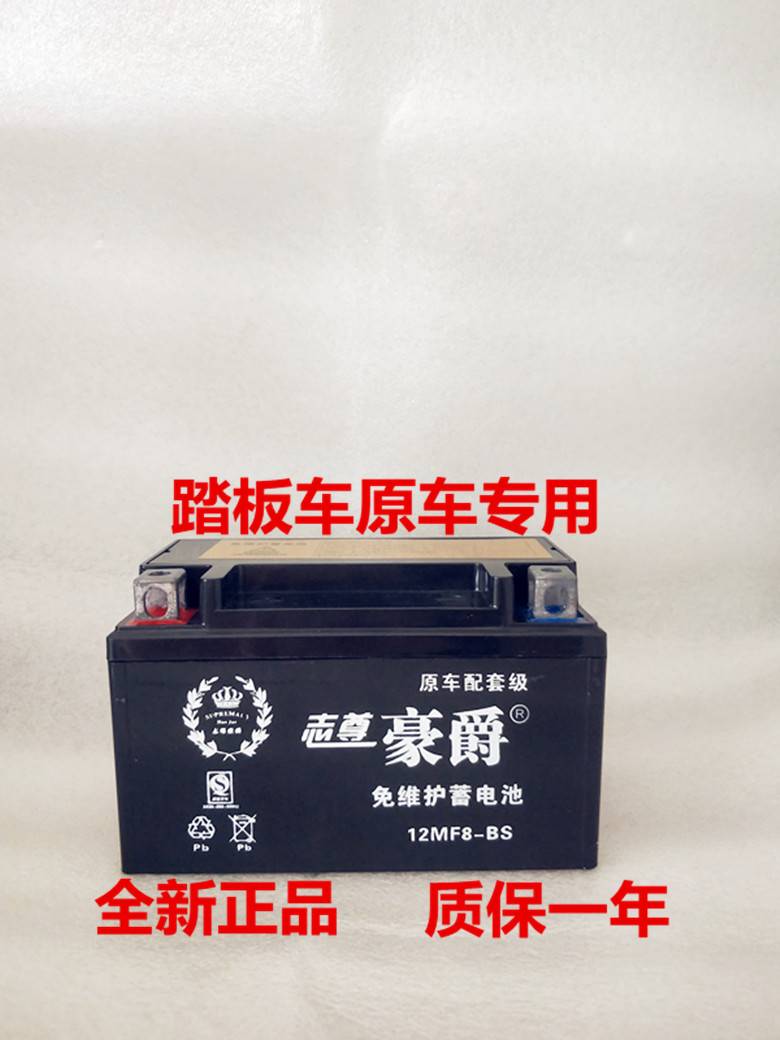 全新原装12v通用YTX7A-BS海王星鬼火女士免维护踏板摩托车干电瓶