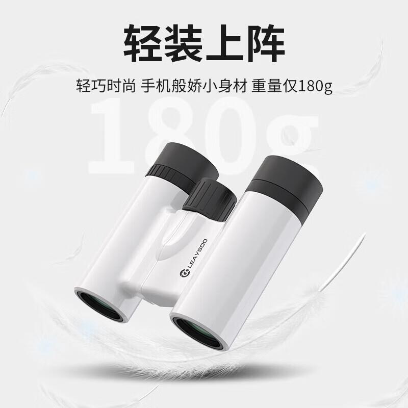 雷龙迷你清倍时尚便携双筒望远镜户外演唱会球赛旅游10x22