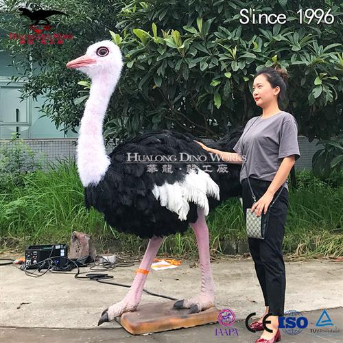 仿真贴毛鸵鸟模型机械电动可发声仿真恐龙源头厂家设计生产