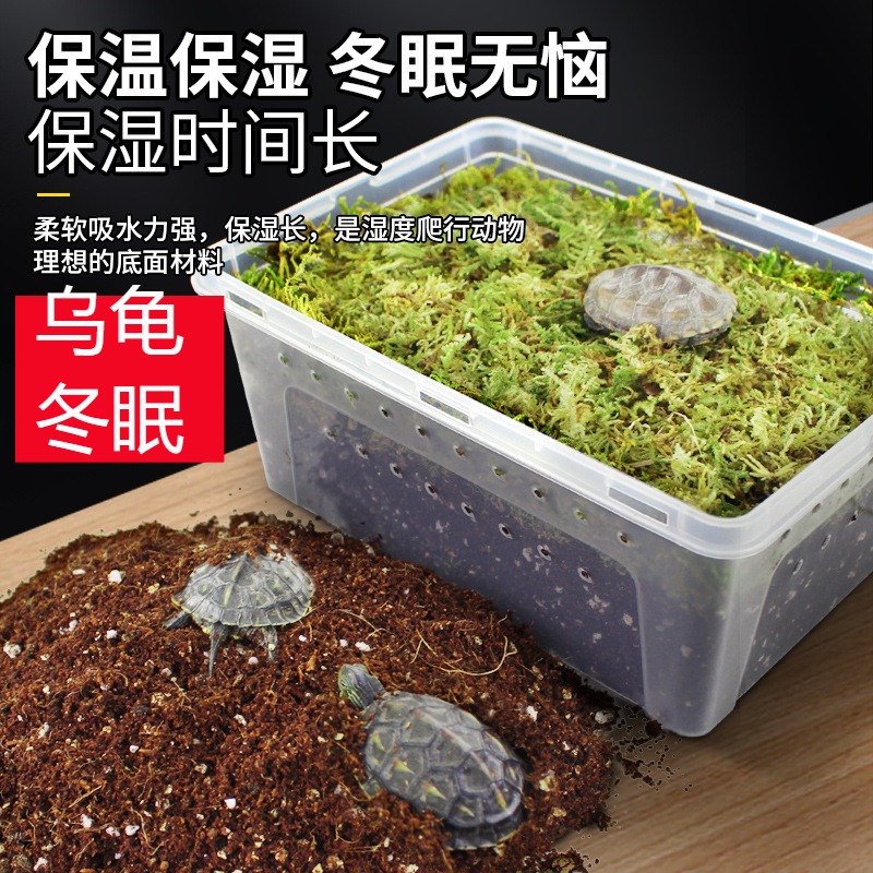 椰土免泡发椰砖乌龟冬眠用品蜘蛛
