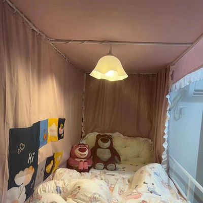 花朵插电吊灯插电式床上灯悬挂