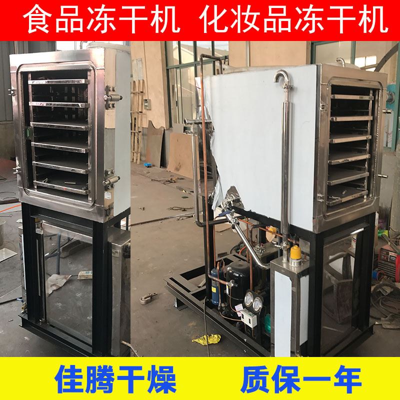 减肥蔬菜冻干机 浓缩液真空冷冻干燥机 冰糖葫芦冻干设备