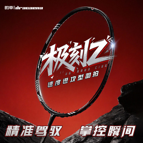 极刻Z的幸速度高端进阶羽毛球拍
