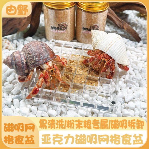 寄居蟹专用网格食碗防打包