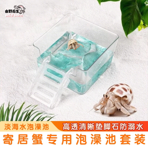由野后生寄居蟹淡海水盆泡澡盆