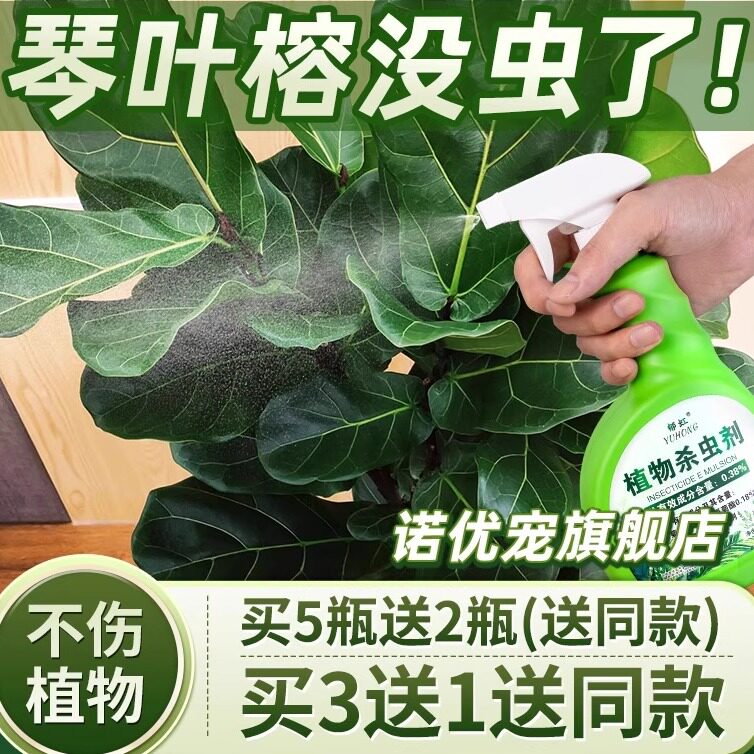 琴叶榕杀虫剂除虫专用药虫子虫害长虫驱虫杀蚜虫白粉虱花卉介壳虫,洗护清洁剂/卫生巾/纸/香薰,杀虫剂（卫生农药）,淘宝优惠券,粉丝福利购,淘宝优惠卷