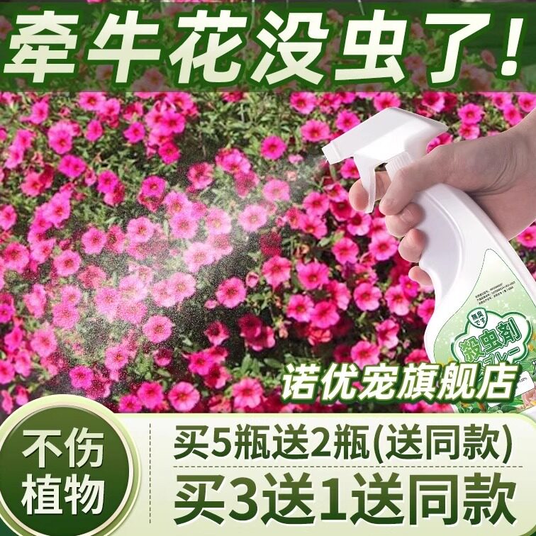 牵牛花杀虫剂牵牛虫子药除虫驱虫长虫花药白粉虱专用灭红蜘蛛蚜虫