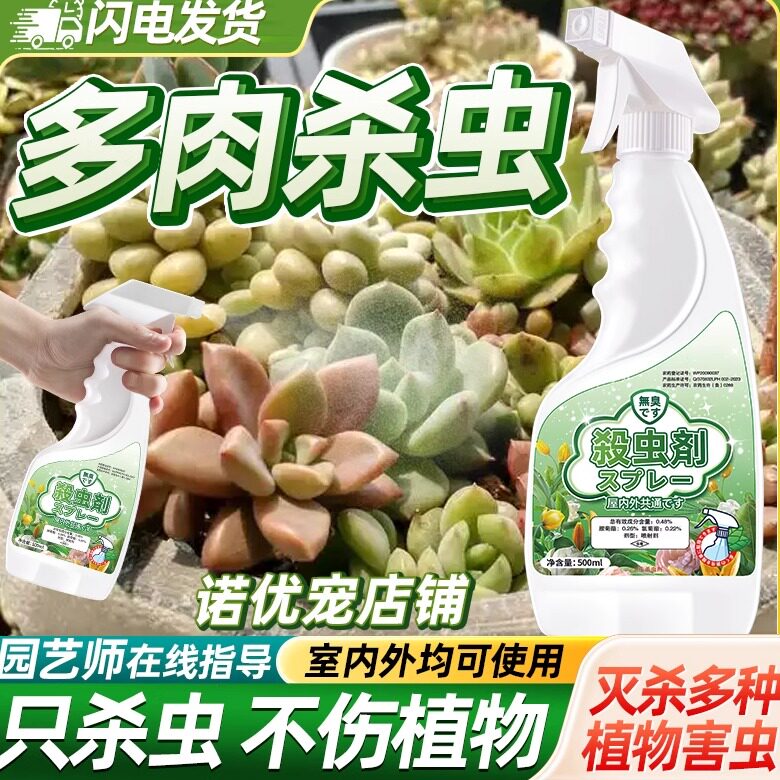 多肉杀虫剂专用药家用除虫驱虫蚧壳虫防虫植物虫子去肉白虫非杀菌
