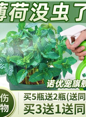 薄荷叶打虫药专用虫子飞虫除虫药叶虫长小黑飞白色虫小杀虫剂虫害