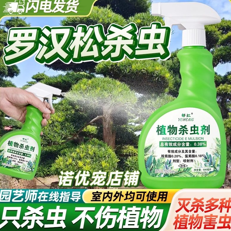 罗汉松杀虫剂专用药菌除虫白粉病用药松树黑斑驱虫长蚧壳虫非农药