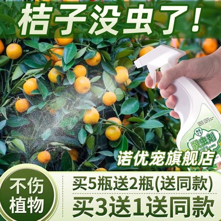 金桔树害虫杀虫剂灭杀神器克星