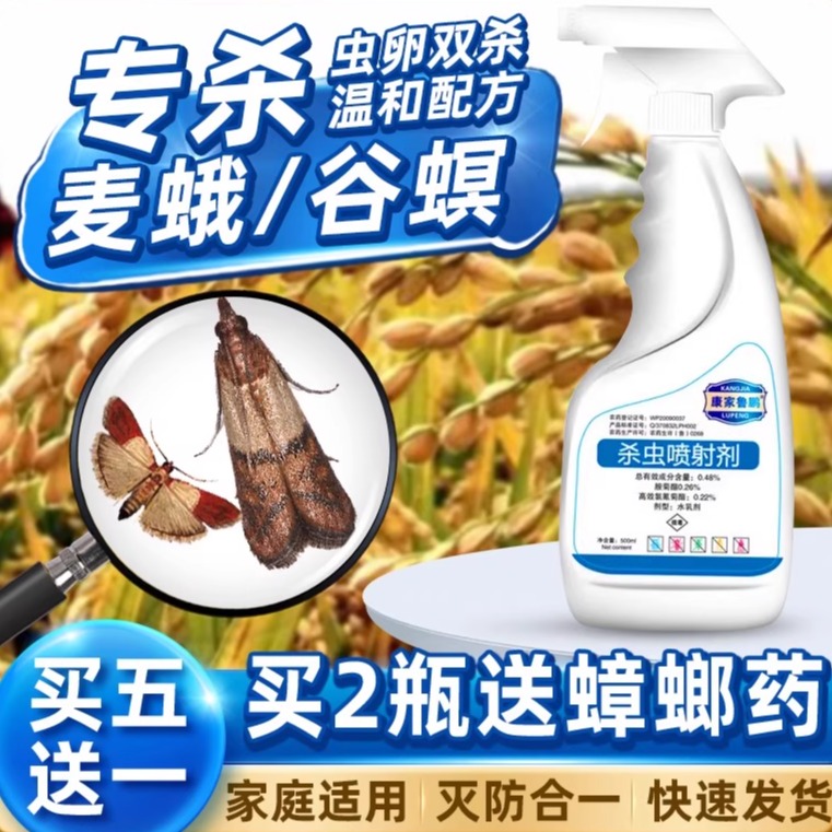 印度谷螟杀虫剂麦蛾杀螟蛾