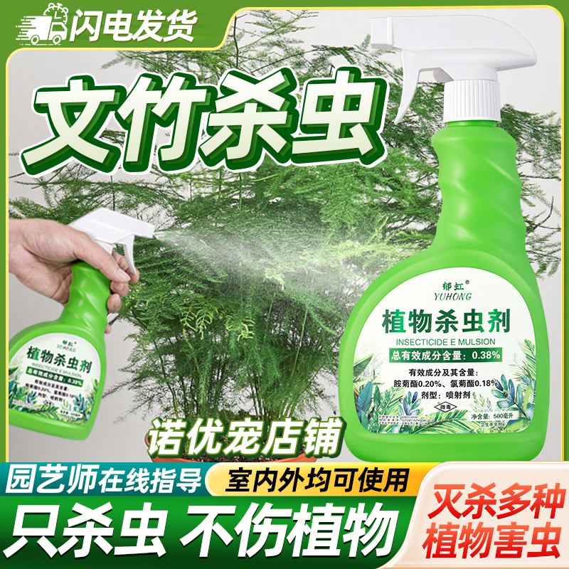 文竹除虫驱虫药红蜘蛛杀虫剂