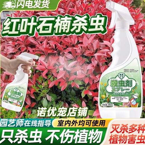红叶石楠害虫杀虫剂灭杀神器克星