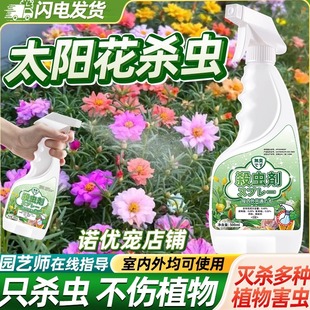 太阳花杀虫剂花生专用药虫子长虫驱虫除虫蚧壳虫去虫药灭防虫打有