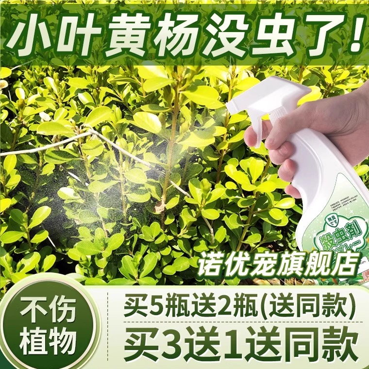 黄杨木虫子害虫杀虫剂喷雾神器