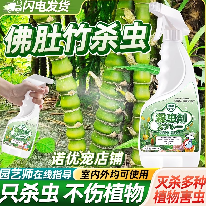 佛肚竹杀虫剂灭杀害虫神器克星