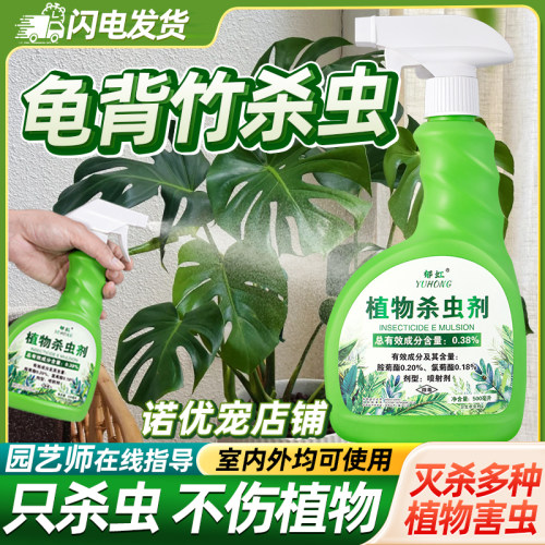 龟背竹杀虫剂除虫打虫药驱虫