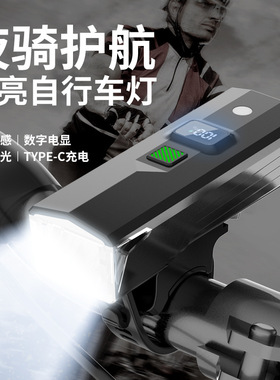 适用捷安特liv乌梅子酱自行车夜骑灯强光女骑款夜间照明骑行配件